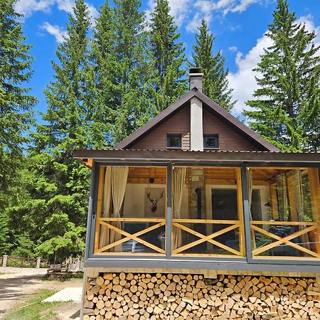 Black Lake Chalet Žabljak Dış mekan fotoğraf