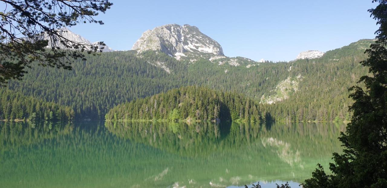 Black Lake Chalet Žabljak Dış mekan fotoğraf
