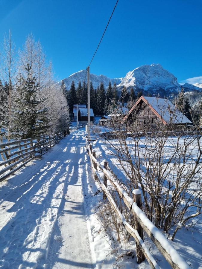 Black Lake Chalet Žabljak Dış mekan fotoğraf
