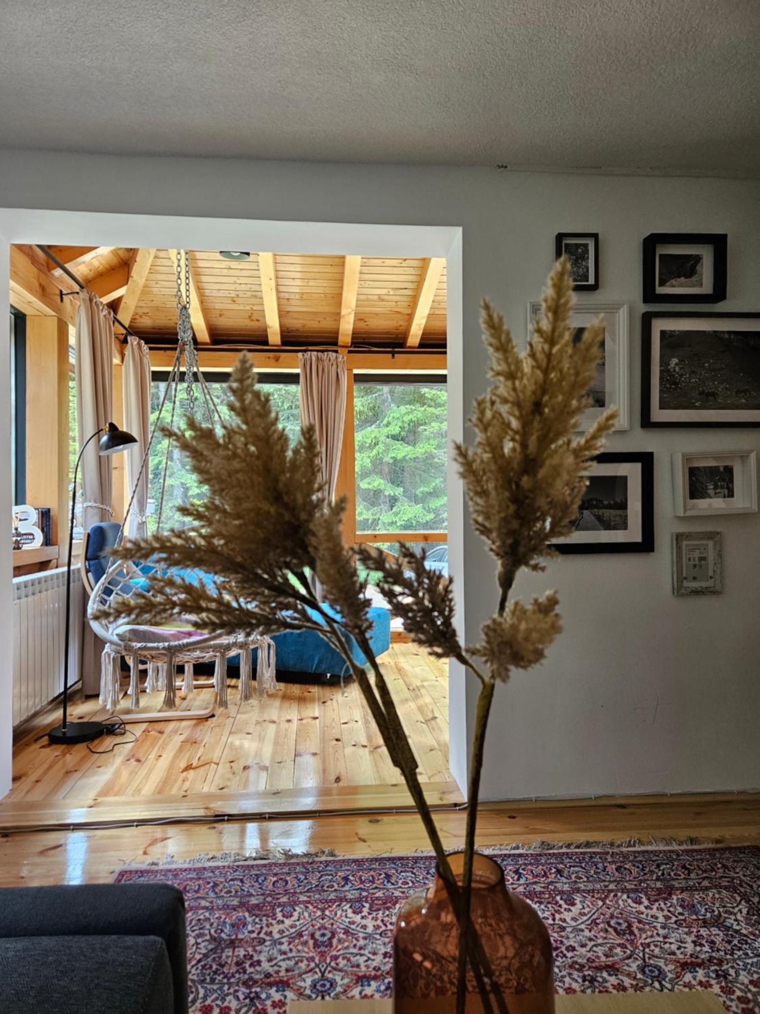 Black Lake Chalet Žabljak Dış mekan fotoğraf