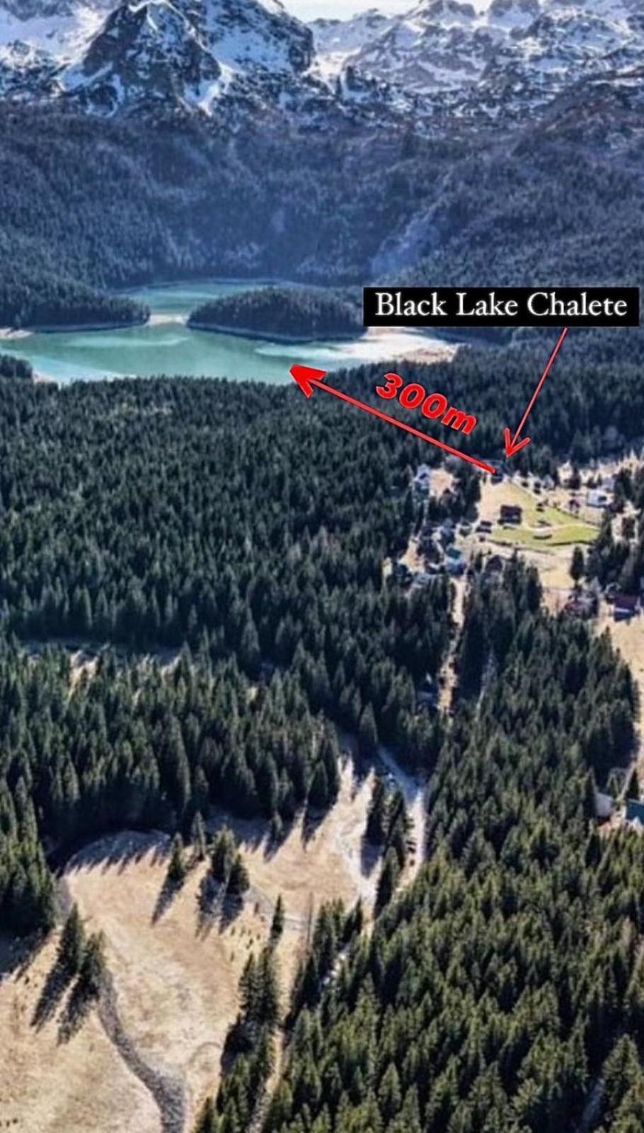 Black Lake Chalet Žabljak Dış mekan fotoğraf