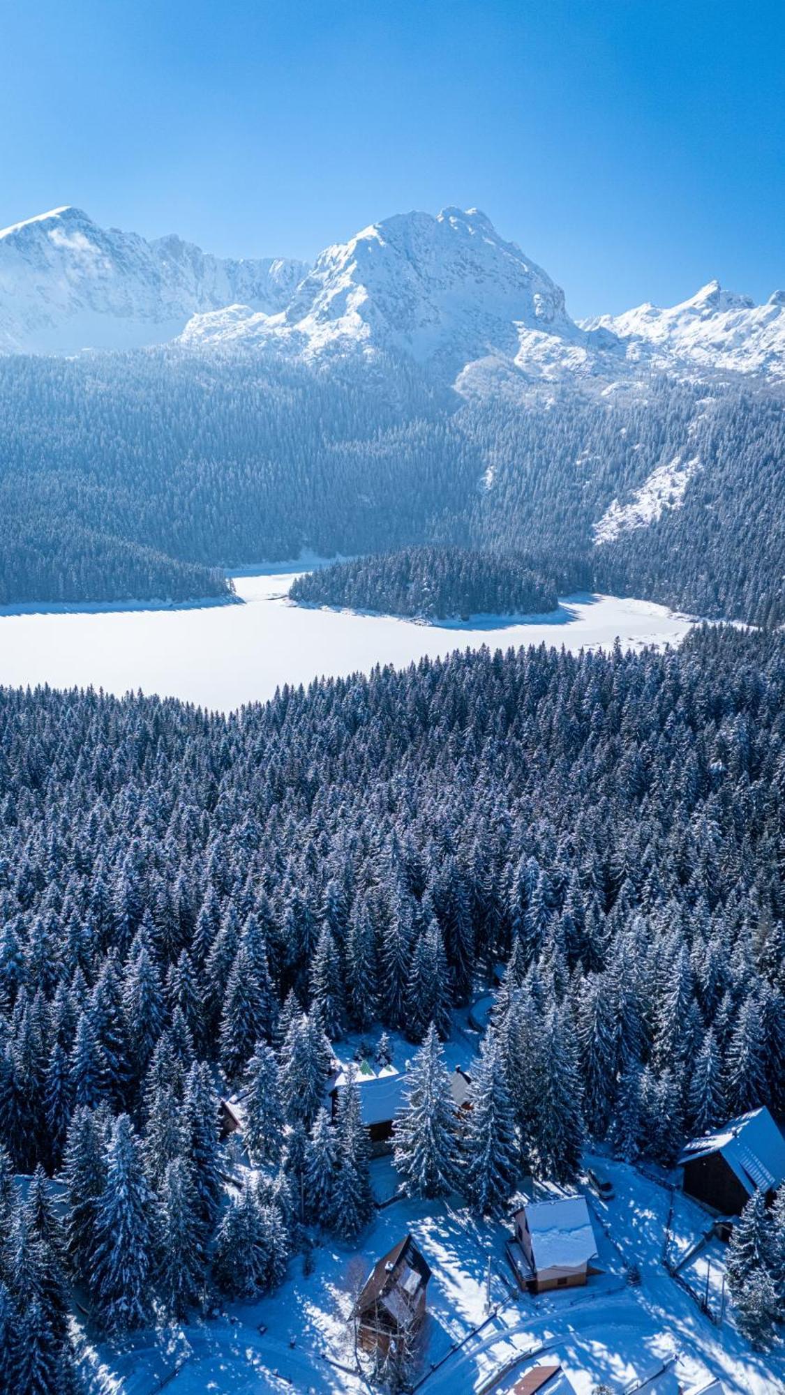 Black Lake Chalet Žabljak Dış mekan fotoğraf